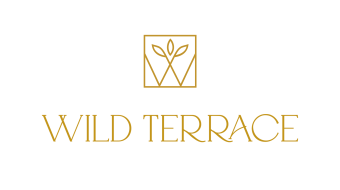 portfolio-images-2000x1500px-wild-terrace-branding-mod