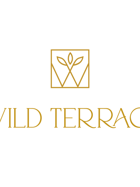 portfolio-images-2000x1500px-wild-terrace-branding-mod
