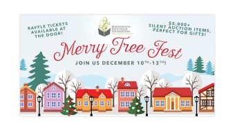portfolio-images-2000x1500px-mef-merry-tree-fest-facebook