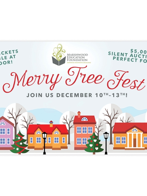 portfolio-images-2000x1500px-mef-merry-tree-fest-facebook