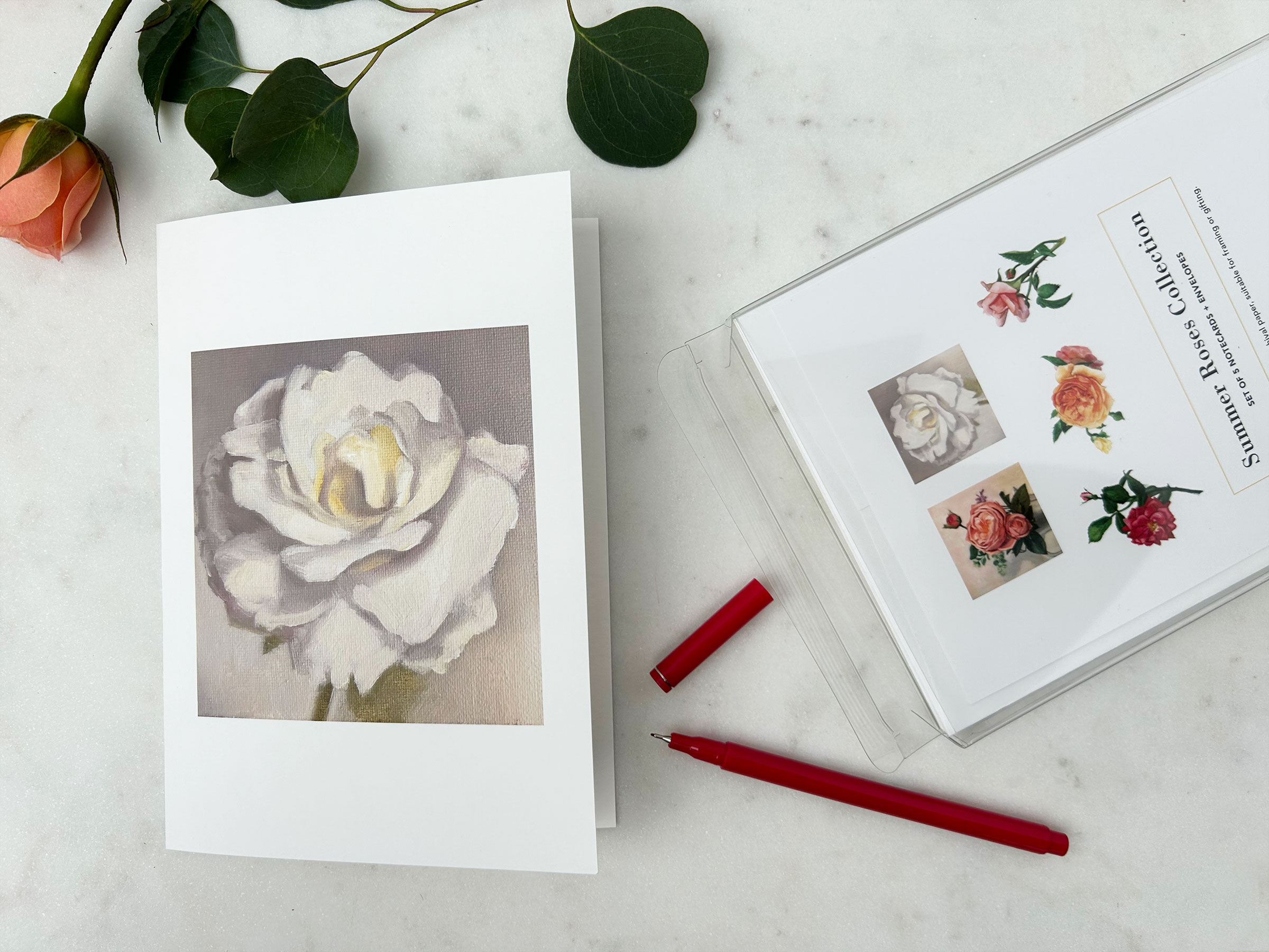 wild-terrace-sarah-cassani-summer-roses-collection-overhead-white-rose-open-box
